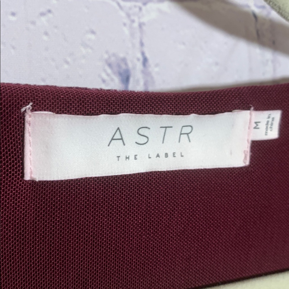 Astr Womens Velvet long Sleeve Crop Top in Eggplant Sz M Whimsigoth Fairy Grunge - Picture 3 of 5